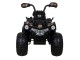 ATV electric Ramiz Madman (Black)