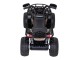 ATV electric Ramiz Madman (Black)