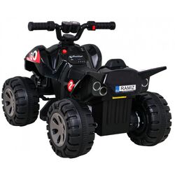 Электроквадроцикл Ramiz Quad The Fastest (Black) Thumb