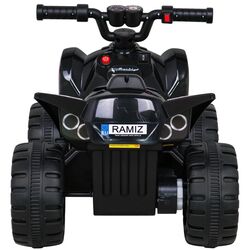 Электроквадроцикл Ramiz Quad The Fastest (Black) Thumb