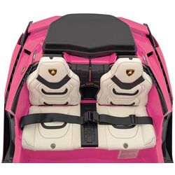 Masinuta electrica Ramiz Lamborghini Sian (Pink) Thumb