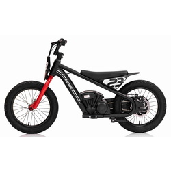 Motocicleta electrica Ramiz Baigor 23 Pro (Black) Thumb