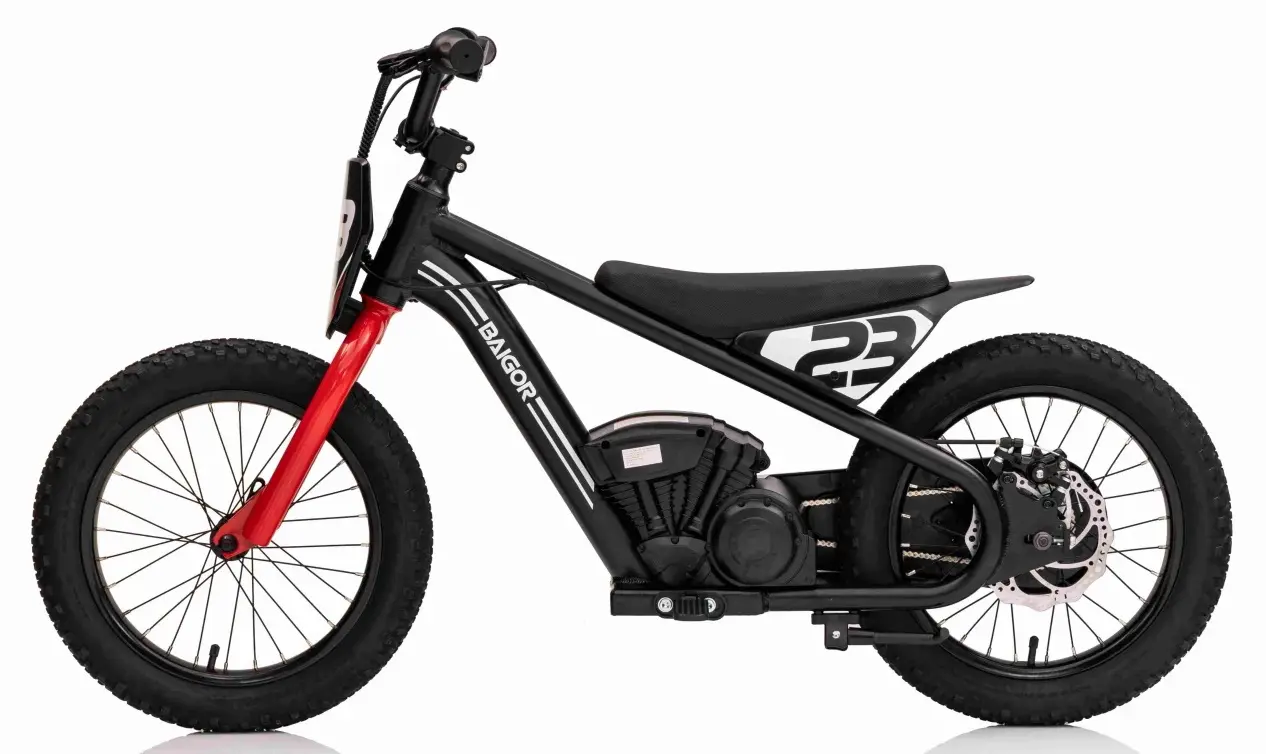 Motocicleta electrica Ramiz Baigor 23 Pro (Black)