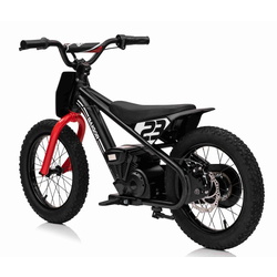 Motocicleta electrica Ramiz Baigor 23 Pro (Black) Thumb