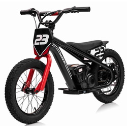 Motocicleta electrica Ramiz Baigor 23 Pro (Black)
