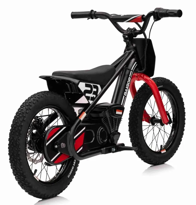 Motocicleta electrica Ramiz Baigor 23 Pro (Black)
