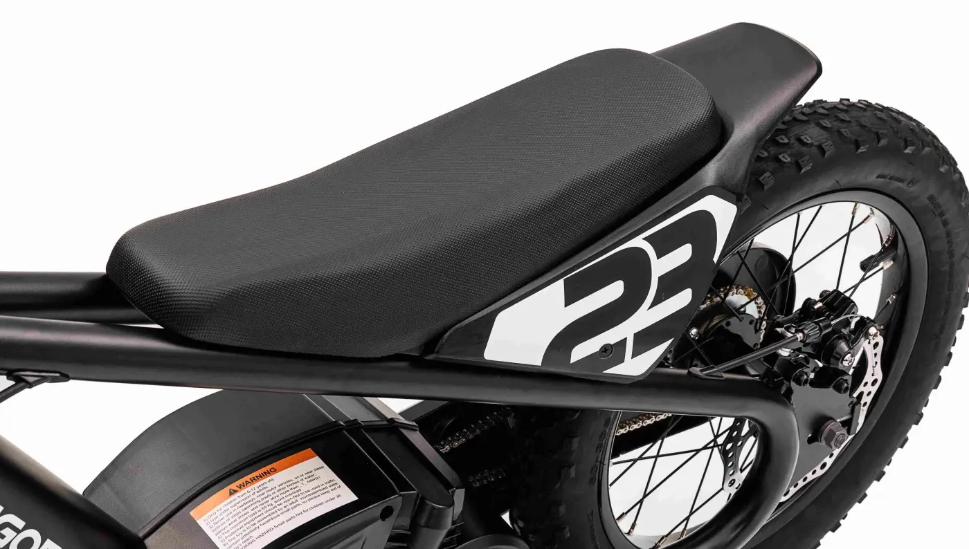 Motocicleta electrica Ramiz Baigor 23 Pro (Black)