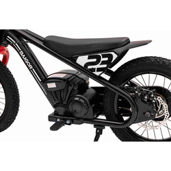Motocicleta electrica Ramiz Baigor 23 Pro (Black) Thumb