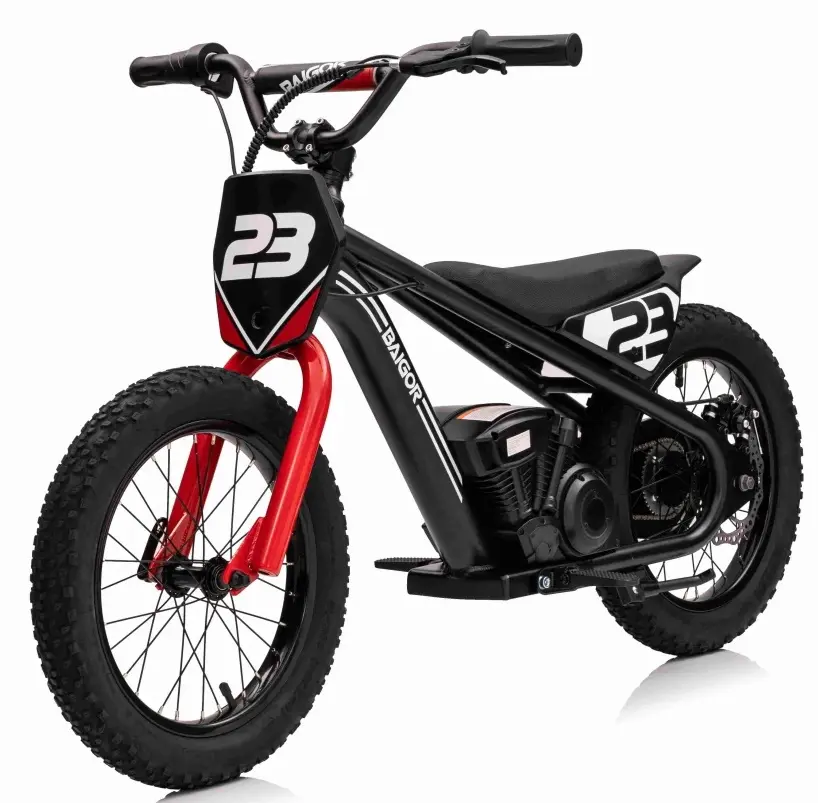 Motocicleta electrica Ramiz Baigor 23 Pro (Black)