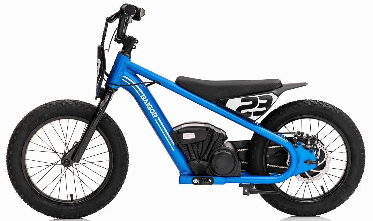 Motocicleta electrica Ramiz Baigor 23 Pro (Blue)