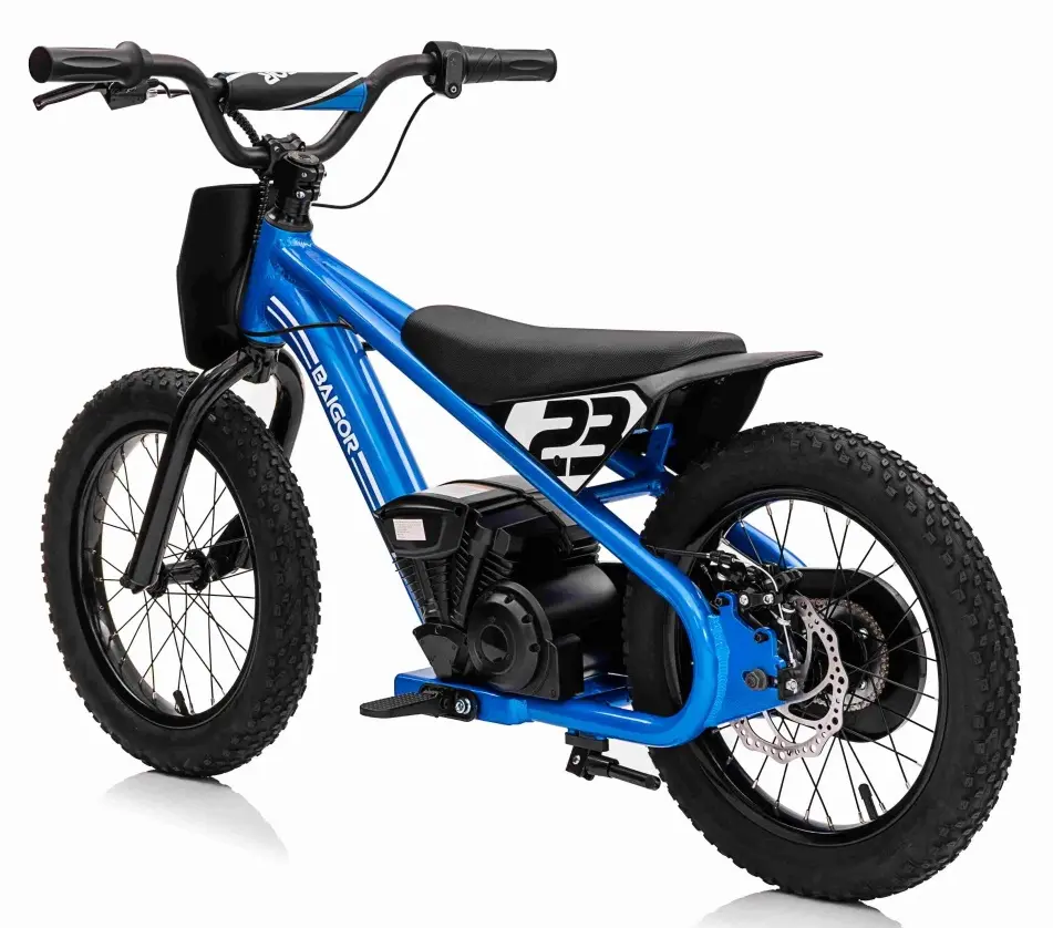 Motocicleta electrica Ramiz Baigor 23 Pro (Blue)