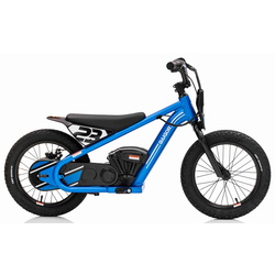 Motocicleta electrica Ramiz Baigor 23 Pro (Blue) Thumb