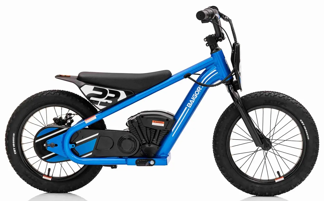Motocicleta electrica Ramiz Baigor 23 Pro (Blue)