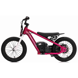 Motocicleta electrica Ramiz Baigor 23 Pro (Pink) Thumb