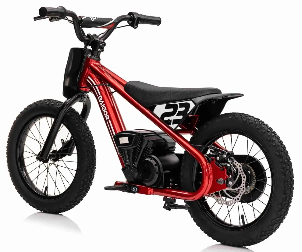 Motocicleta electrica Ramiz Baigor 23 Pro (Red)
