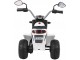 Электромотоцикл Ramiz MiniBike (White/Black)