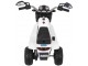 Электромотоцикл Ramiz MiniBike (White/Black)