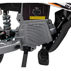 Motocicleta electrica Ramiz Pantone 361C (Orange) Thumb