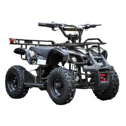 ATV electric Viper EATV 800W C2 (Black)