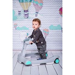 Ходунок 2в1 Bertoni (Lorelli) Rider (Grey/White) Thumb