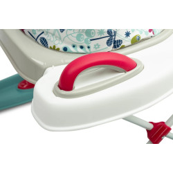 Premergator Caretero Surf (Blossom) Thumb
