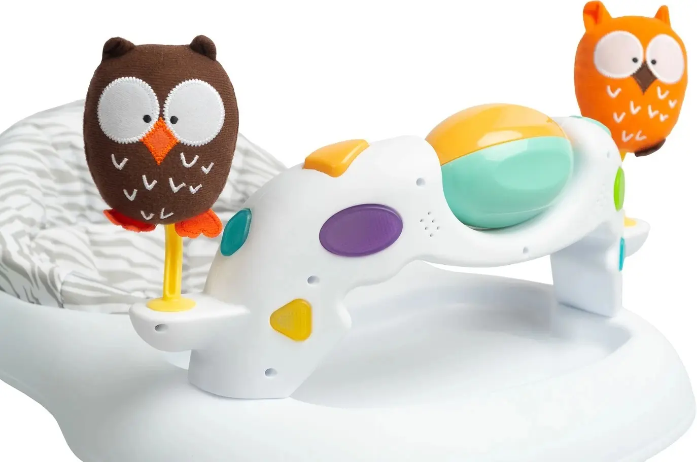 Premergator Caretero Owls (Turqoise) - 6