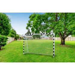 Poarta pentru fotbal Dunlop 2006659 (White/Black) Thumb