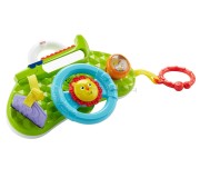 Jucarie interactiva Fisher-Price Musical Lion DYW53 (Multicolor)