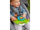 Jucarie interactiva Fisher-Price Musical Lion DYW53 (Multicolor)