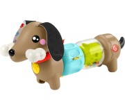 Jucarie interactiva Fisher-Price Pets (Multicolor)