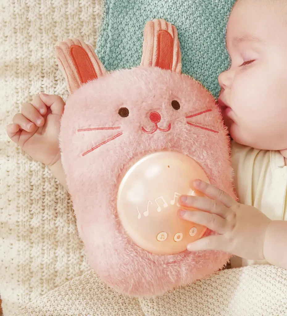 Jucarie interactiva Hape Pal-Huggy Roro E0114 (Pink)