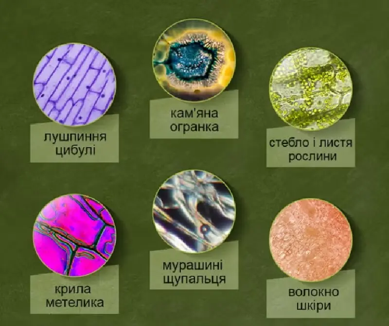 Set de cercetare Mideer Exploring whit Microscope MD2227 (White)