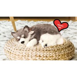 Jucarie interactiva Perfect Petzzz Alaskan Husky (Grey/White) Thumb