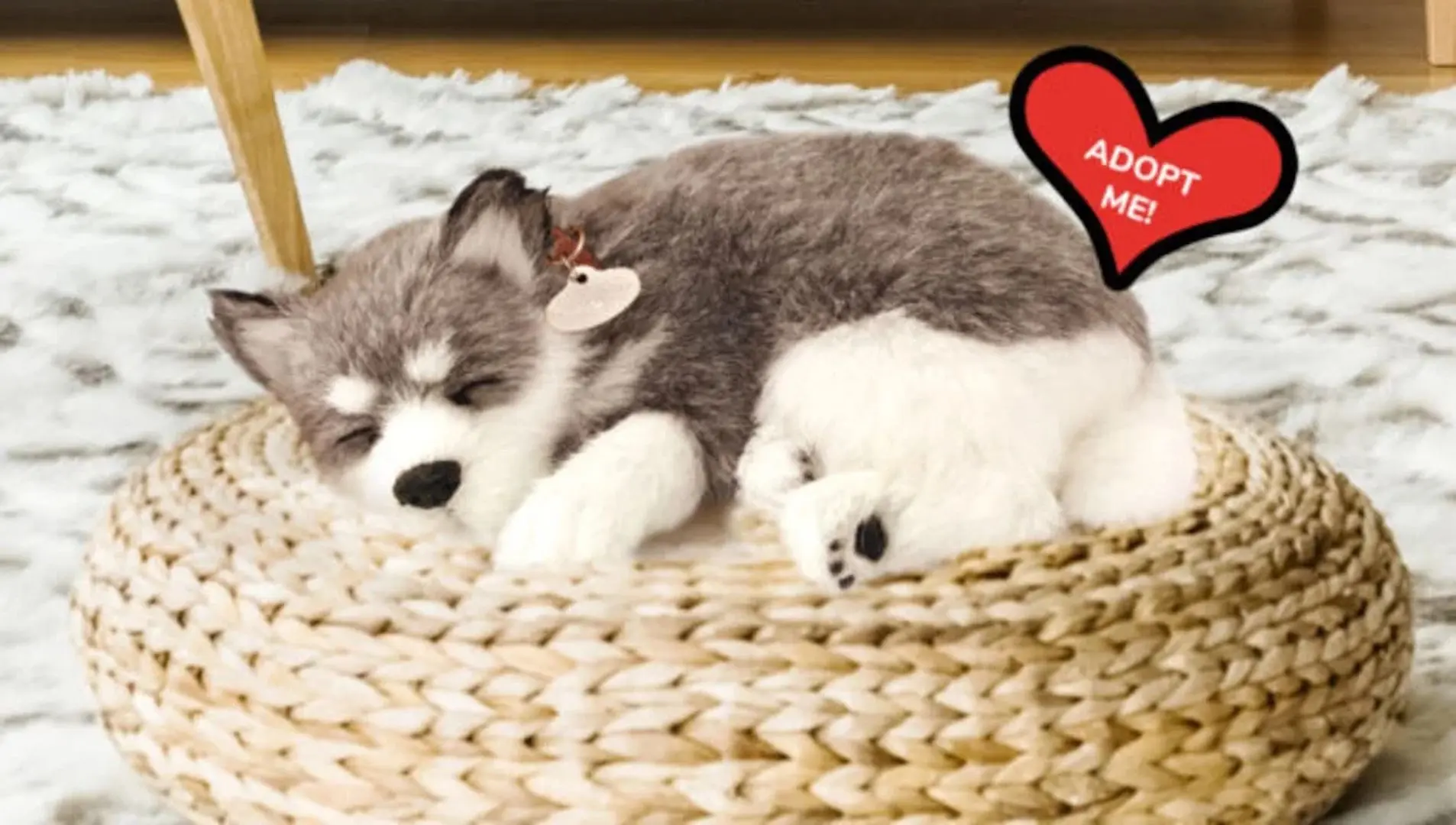 Jucarie interactiva Perfect Petzzz Alaskan Husky (Grey/White) - 2