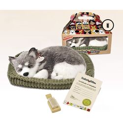 Jucarie interactiva Perfect Petzzz Alaskan Husky (Grey/White) Thumb