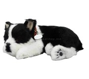 Jucarie interactiva Perfect Petzzz Boston Terrier (Black/White)