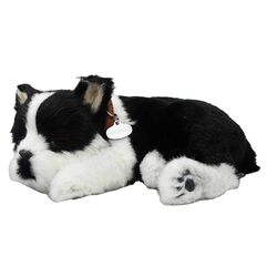 Интерактивная игрушка Perfect Petzzz Boston Terrier (Black/White)