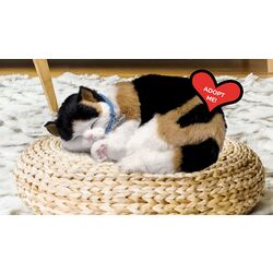 Интерактивная игрушка Perfect Petzzz Calico Kitten (Black/White) Thumb