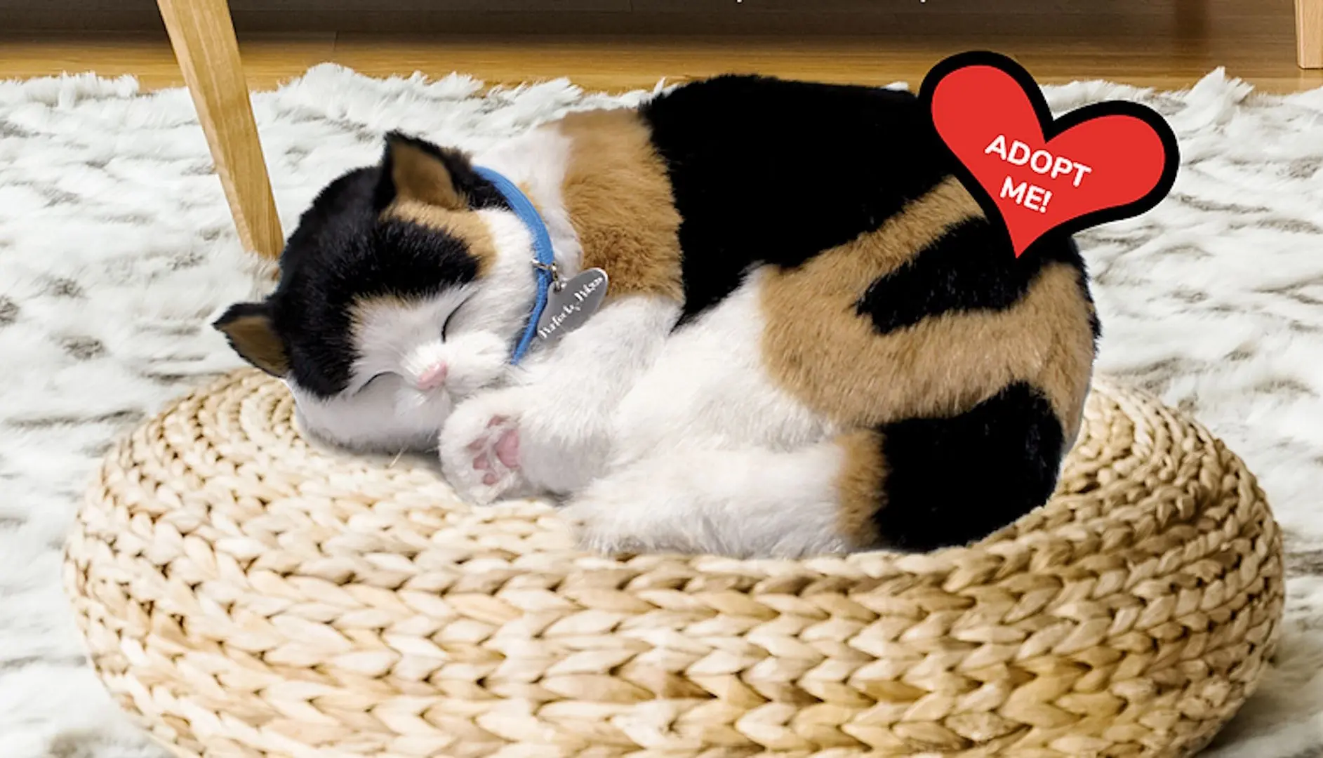 Интерактивная игрушка Perfect Petzzz Calico Kitten (Black/White) - 2