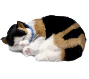 Jucarie interactiva Perfect Petzzz Calico Kitten (Black/White)