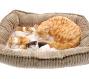 Jucarie interactiva Perfect Petzzz Cat and 3 Kittens (Brown/White)