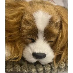 Jucarie interactiva Perfect Petzzz Cocker Spaniel (Brown/White) Thumb