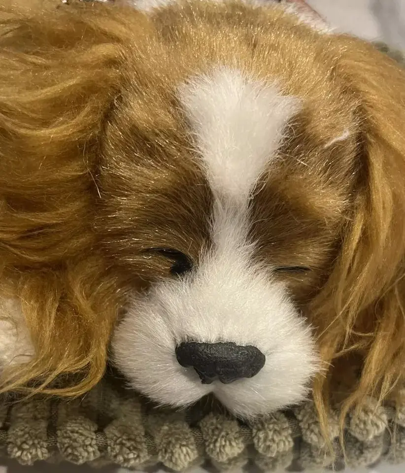 Jucarie interactiva Perfect Petzzz Cocker Spaniel (Brown/White) - 3