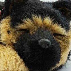 Jucarie interactiva Perfect Petzzz German Shepherd Dog (Dark Brown/Brown) Thumb