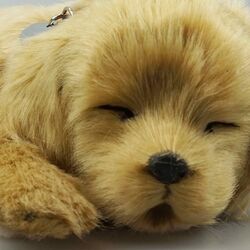 Jucarie interactiva Perfect Petzzz Golden Retriever (Beige) Thumb