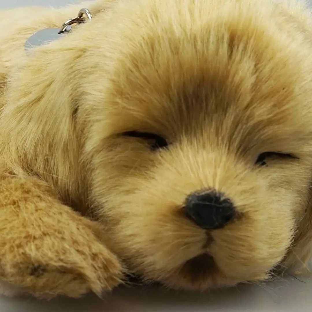 Jucarie interactiva Perfect Petzzz Golden Retriever (Beige) - 2