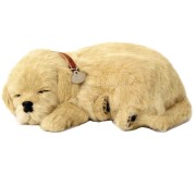 Jucarie interactiva Perfect Petzzz Golden Retriever (Beige)