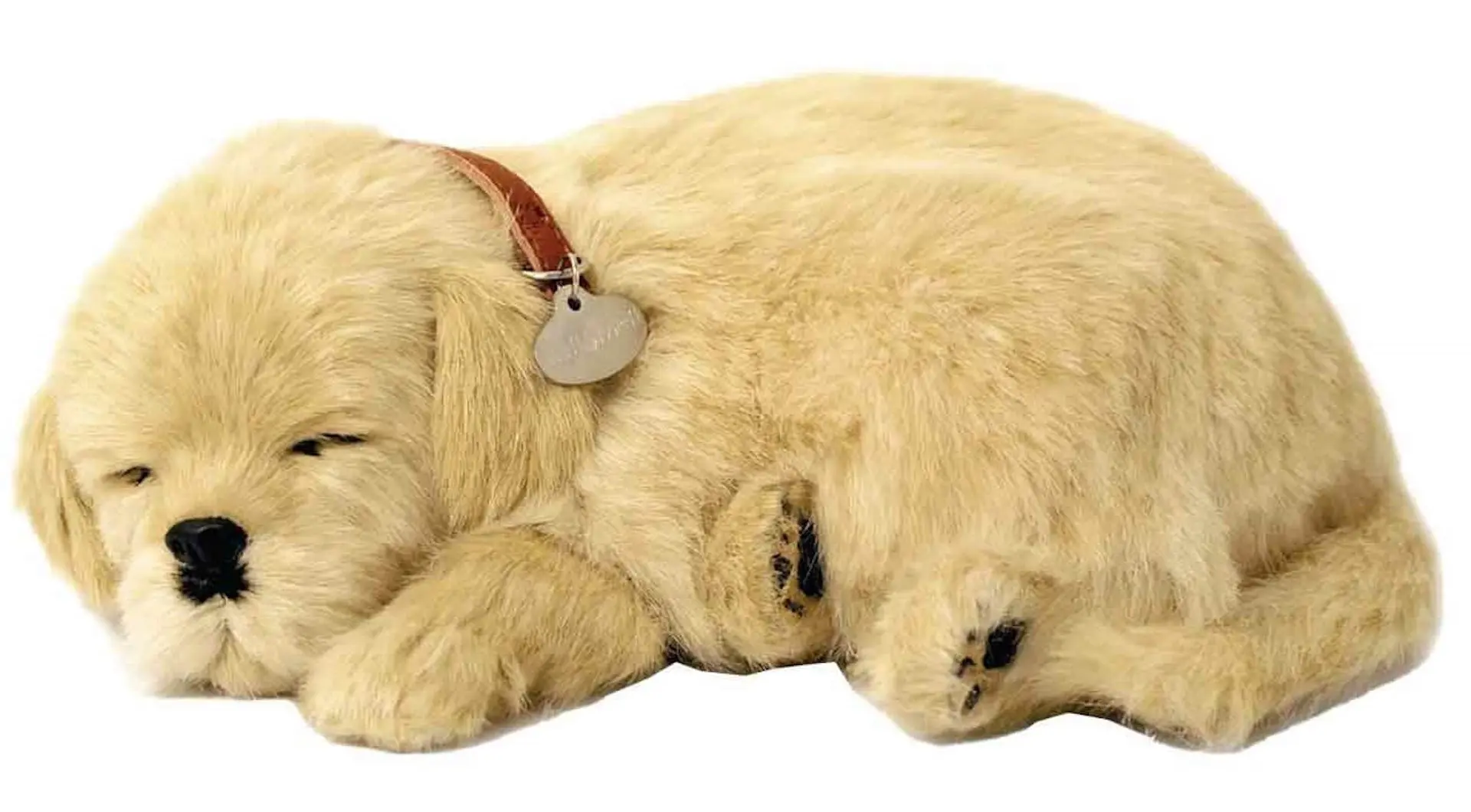 Jucarie interactiva Perfect Petzzz Golden Retriever (Beige)