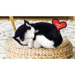 Интерактивная игрушка Perfect Petzzz Kitten (Black/White) Thumb