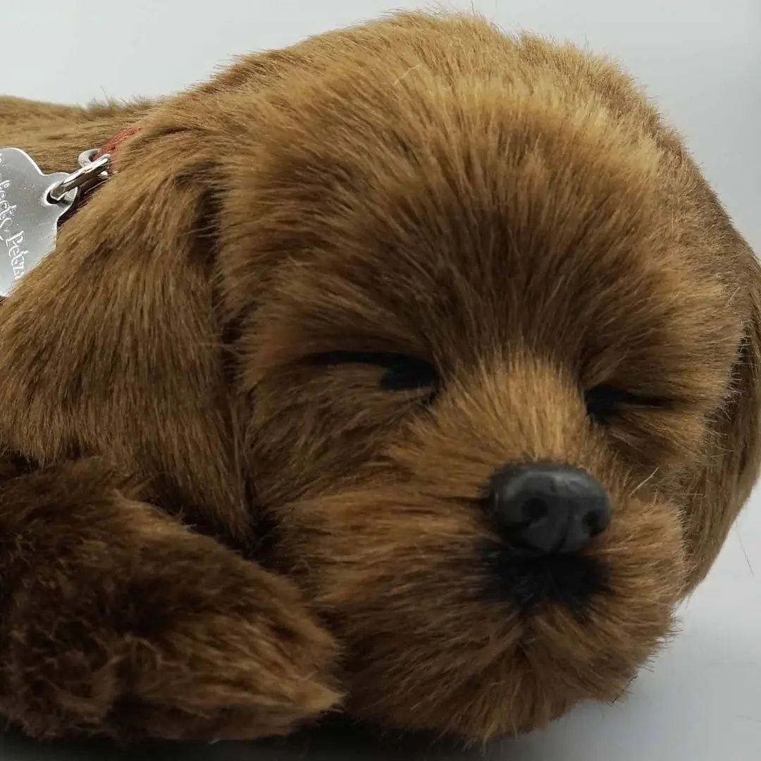 Интерактивная игрушка Perfect Petzzz Labrador (Brown) - 2